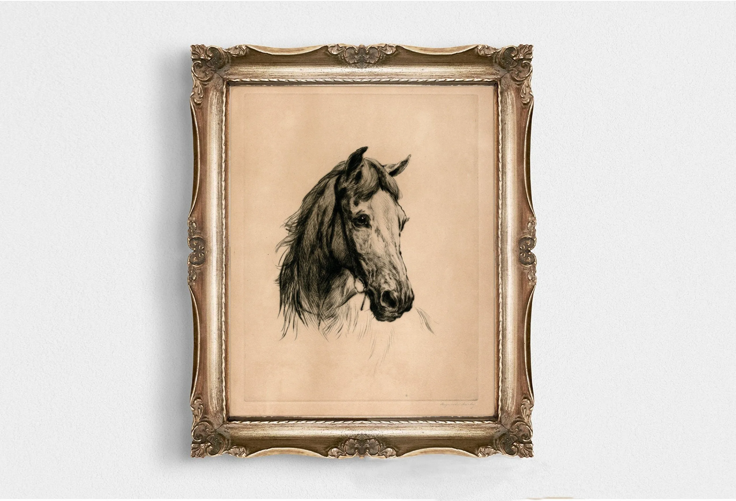 Vintage Horse Sketch Wall Print